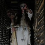 The Dark Carnival Haunted House